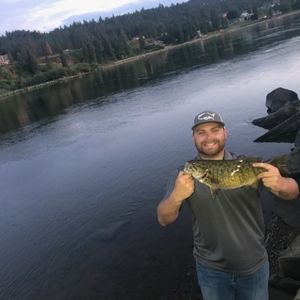 Meet your Posher, William